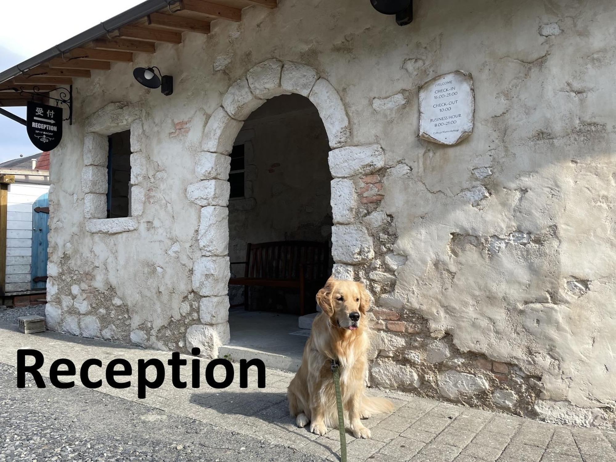 Cottage Morinokokage Yakushima  Εξωτερικό φωτογραφία
